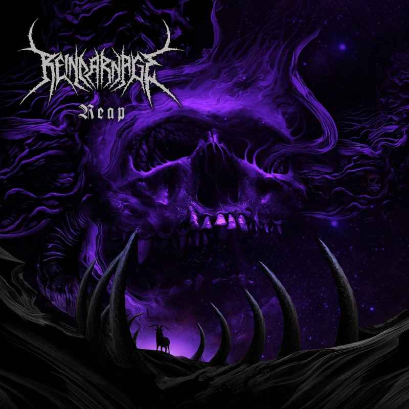 REINCARNAGE - Reap CD